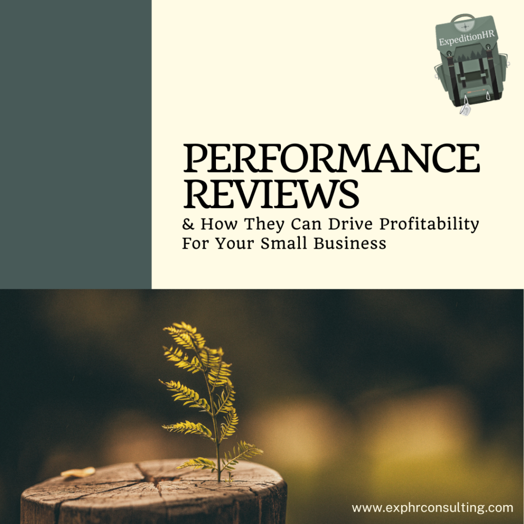 Performance Reviews & How They Can Drive Profitability For Your Small Business